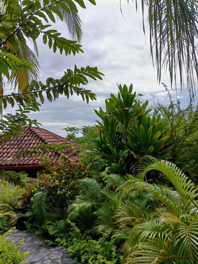 Finca Los Caballos Montezuma Exterior photo