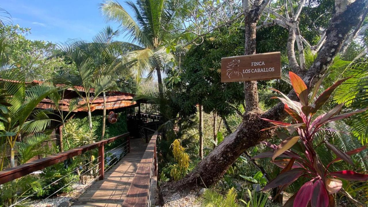 Finca Los Caballos Montezuma Exterior photo